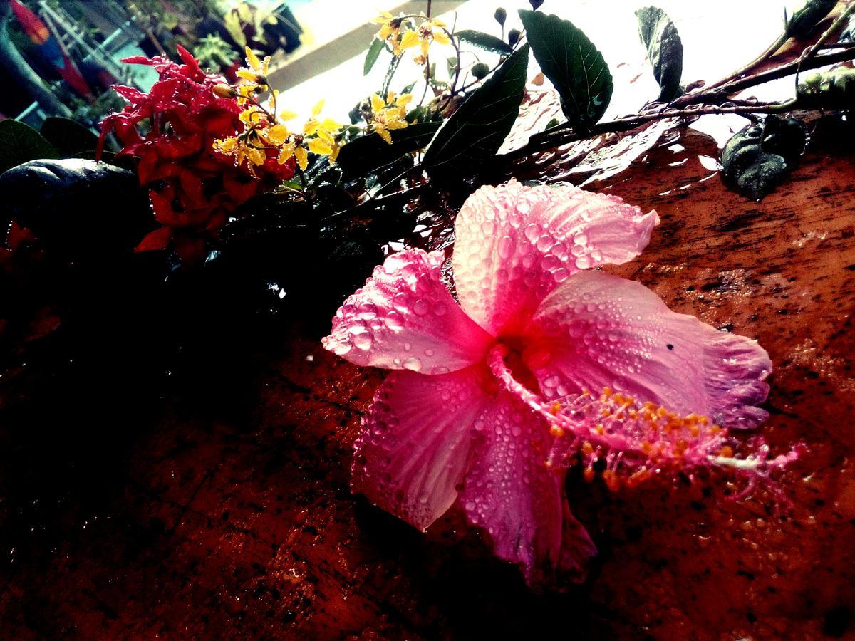Hotel El Jardin Jacó Esterno foto